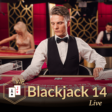Blackjack VIP 14 game icon