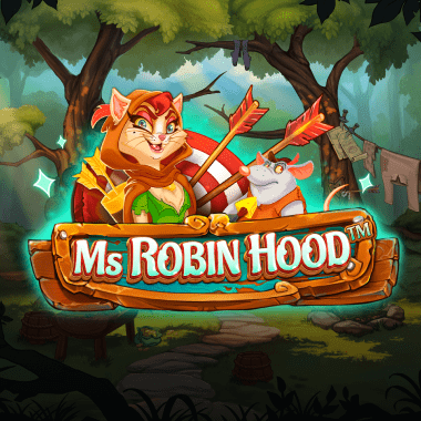 Ms Robin Hood game icon