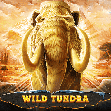 Wild Tundra game icon