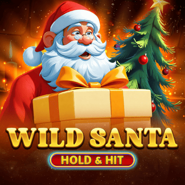 Wild Santa - Hold & Hit game icon